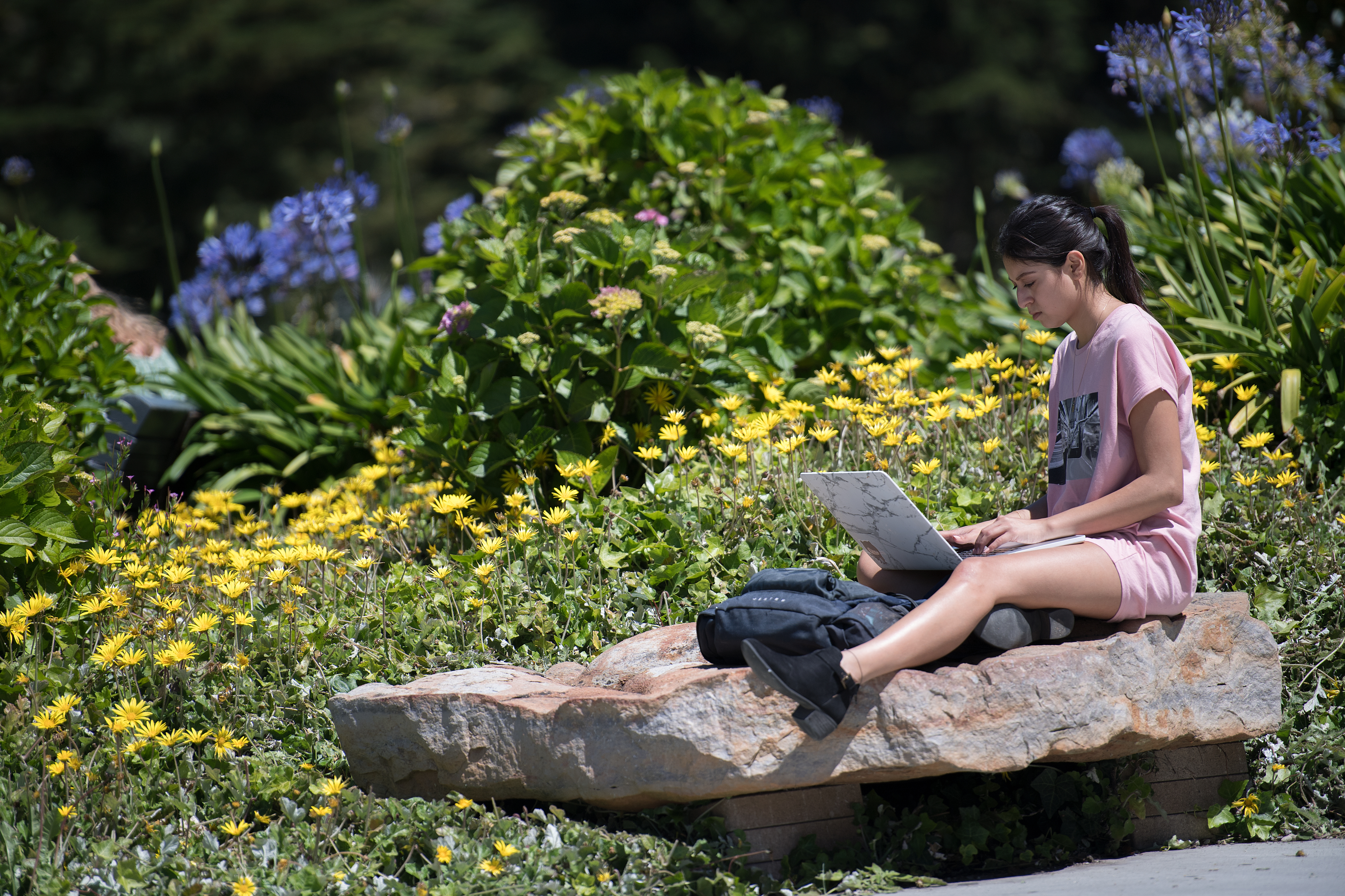 student with laptop sitting on rock in a garden